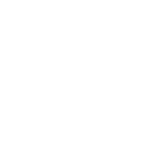 fovissste-logo